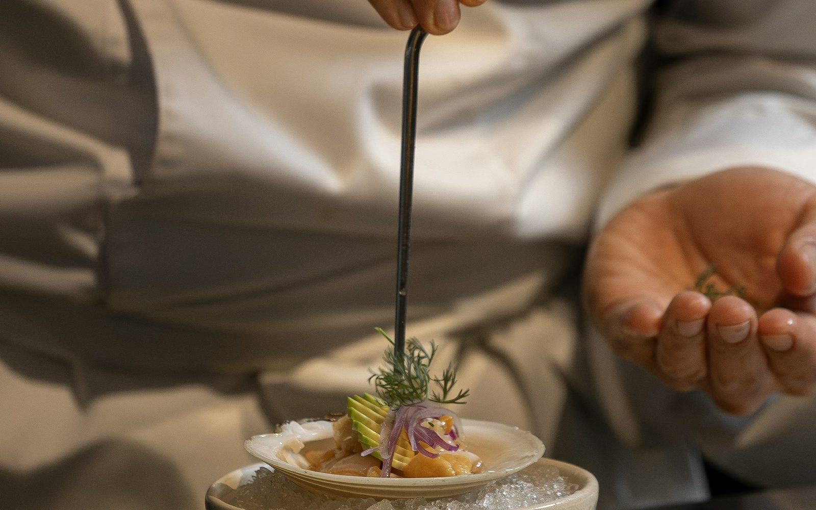 A chef garnishing a seafood dish with herbs